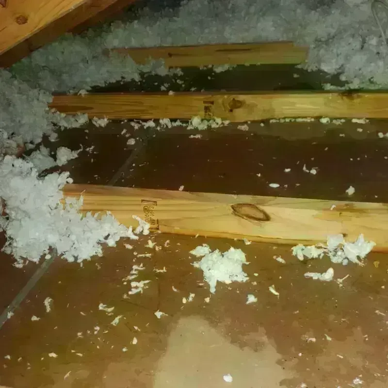 Attic Water Damage in West Paris, ME