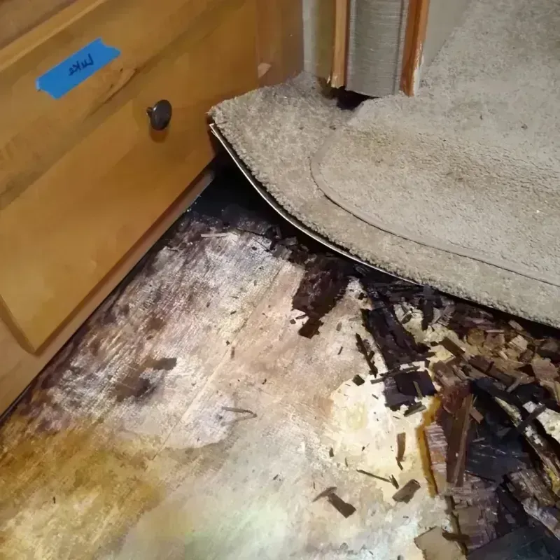 Best Wood Floor Water Damage Service in West Paris, ME